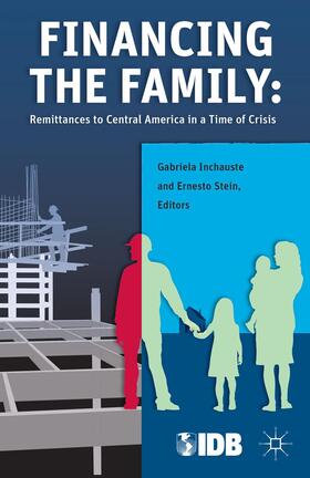  Financing the Family | Buch |  Sack Fachmedien