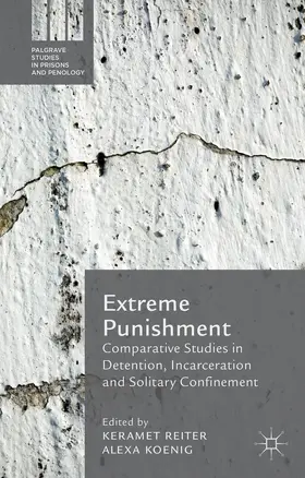 Reiter / Koenig | Extreme Punishment | Buch | 978-1-137-44114-0 | sack.de