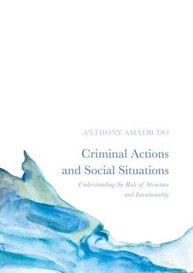 Amatrudo |  Criminal Actions and Social Situations | Buch |  Sack Fachmedien