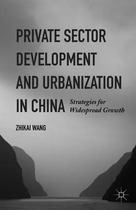 Wang |  Private Sector Development and Urbanization in China | Buch |  Sack Fachmedien