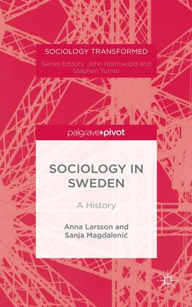 Larsson / Magdaleni? |  Sociology in Sweden | Buch |  Sack Fachmedien
