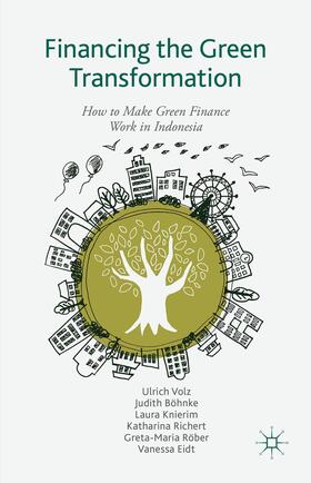 Volz / Böhnke / Knierim |  Financing the Green Transformation | Buch |  Sack Fachmedien