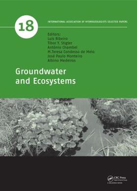 Ribeiro / Stigter / Chambel |  Groundwater and Ecosystems | Buch |  Sack Fachmedien