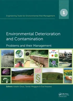 Gruiz / Meggyes / Fenyvesi |  Engineering Tools for Environmental Risk Management | Buch |  Sack Fachmedien