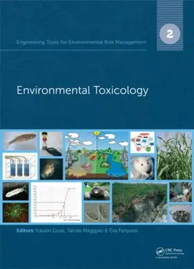 Gruiz / Meggyes / Fenyvesi |  Engineering Tools for Environmental Risk Management | Buch |  Sack Fachmedien