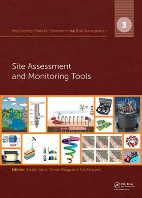 Gruiz / Meggyes / Fenyvesi |  Engineering Tools for Environmental Risk Management | Buch |  Sack Fachmedien