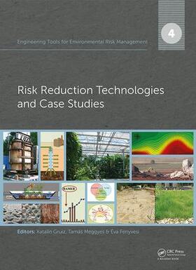 Gruiz / Meggyes / Fenyvesi |  Engineering Tools for Environmental Risk Management | Buch |  Sack Fachmedien