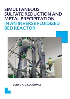 Villa Gomez / Gómez |  Simultaneous Sulfate Reduction and Metal Precipitation in an Inverse Fluidized Bed Reactor | Buch |  Sack Fachmedien