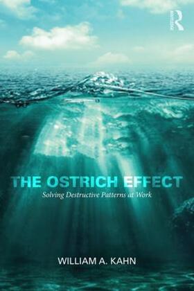 Kahn |  The Ostrich Effect | Buch |  Sack Fachmedien