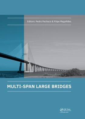 Pacheco / Magalhaes |  Multi-Span Large Bridges | Buch |  Sack Fachmedien