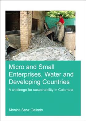 Sanz Galindo |  Micro and Small Enterprises, Water and Developing Countries | Buch |  Sack Fachmedien