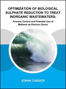 Cassidy |  Optimization of Biological Sulphate Reduction to Treat Inorganic Wastewaters | Buch |  Sack Fachmedien