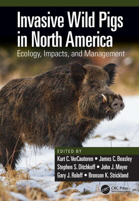 VerCauteren / Beasley / Ditchkoff |  Invasive Wild Pigs in North America | Buch |  Sack Fachmedien