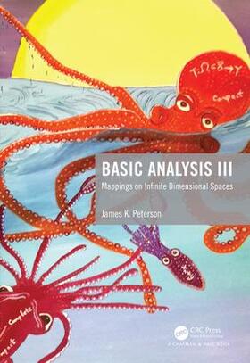 Peterson |  Basic Analysis III | Buch |  Sack Fachmedien