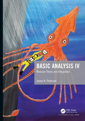 Peterson |  Basic Analysis IV | Buch |  Sack Fachmedien