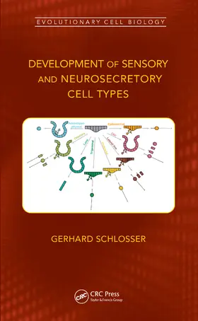 Schlosser |  Development of Sensory and Neurosecretory Cell Types | Buch |  Sack Fachmedien