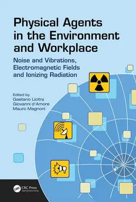 Licitra / d'Amore / Magnoni |  Physical Agents in the Environment and Workplace | Buch |  Sack Fachmedien