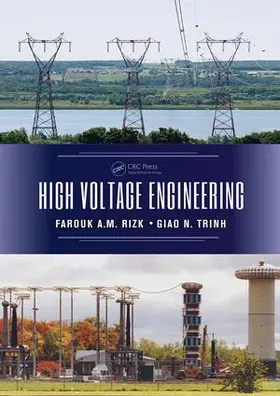 Rizk / Trinh |  High Voltage Engineering | Buch |  Sack Fachmedien