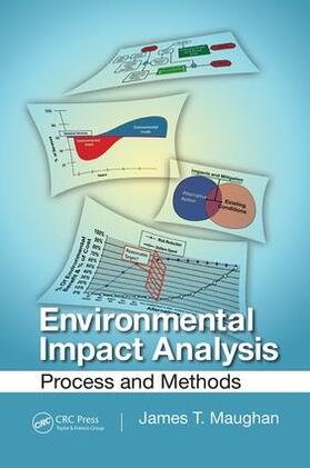 Maughan |  Environmental Impact Analysis | Buch |  Sack Fachmedien