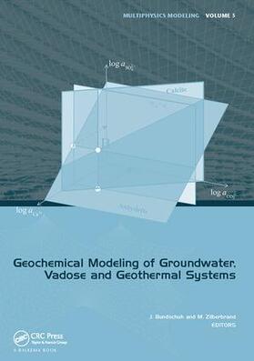 BUNDSCHUH / Bundschuh / Zilberbrand |  Geochemical Modeling of Groundwater, Vadose and Geothermal Systems | Buch |  Sack Fachmedien