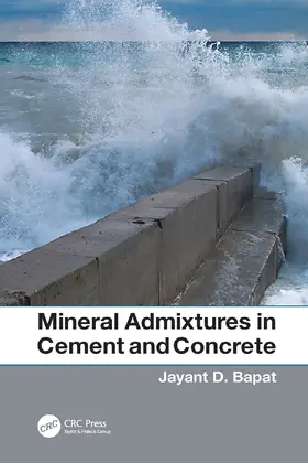 Bapat |  Mineral Admixtures in Cement and Concrete | Buch |  Sack Fachmedien