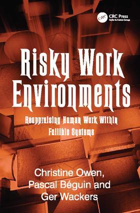 Béguin / Owen |  Risky Work Environments | Buch |  Sack Fachmedien