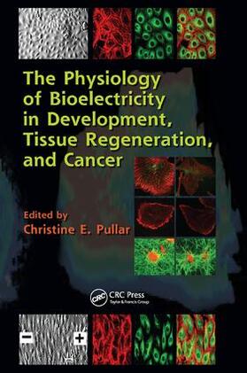 Pullar |  The Physiology of Bioelectricity in Development, Tissue Regeneration and Cancer | Buch |  Sack Fachmedien