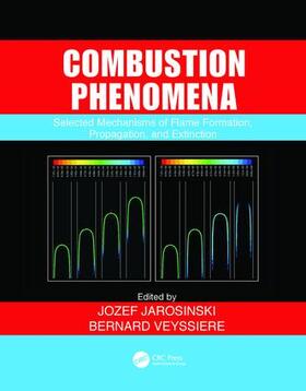 Jarosinski / Veyssiere |  Combustion Phenomena: Selected Mechanisms of Flame Formation, Propagation and Extinction | Buch |  Sack Fachmedien
