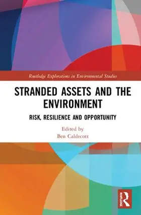 Caldecott |  Stranded Assets and the Environment | Buch |  Sack Fachmedien