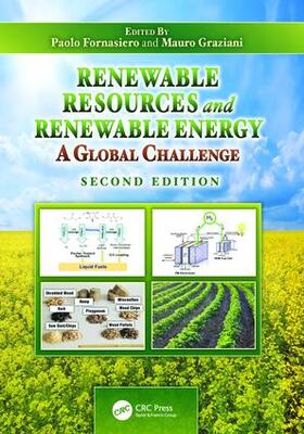 Fornasiero / Graziani | Renewable Resources and Renewable Energy | Buch | 978-1-138-19852-4 | sack.de