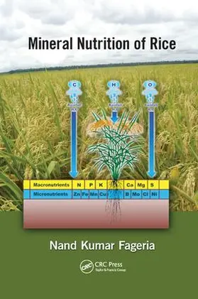 Fageria |  Mineral Nutrition of Rice | Buch |  Sack Fachmedien