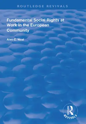 Neal |  Fundamental Social Rights at Work in the European Community | Buch |  Sack Fachmedien