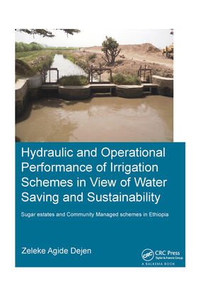 Dejen |  Hydraulic and Operational Performance of Irrigation Schemes in View of Water Saving and Sustainability | Buch |  Sack Fachmedien