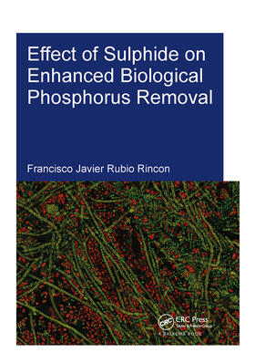 Rubio Rincon |  Effect of Sulphide on Enhanced Biological Phosphorus Removal | Buch |  Sack Fachmedien