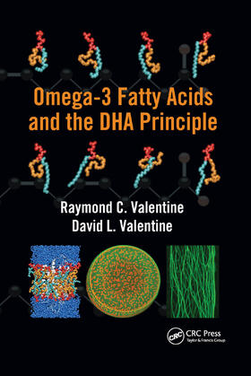 Valentine |  Omega-3 Fatty Acids and the DHA Principle | Buch |  Sack Fachmedien