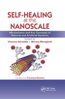 Amendola / Meneghetti |  Self-Healing at the Nanoscale | Buch |  Sack Fachmedien