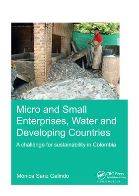 Sanz Galindo |  Micro and Small Enterprises, Water and Developing Countries | Buch |  Sack Fachmedien