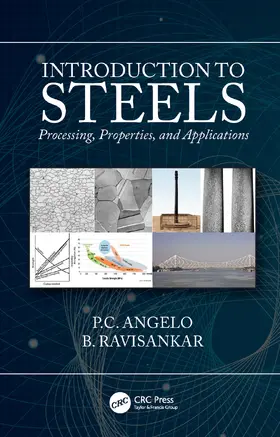 Angelo / Ravisankar |  Introduction to Steels | Buch |  Sack Fachmedien