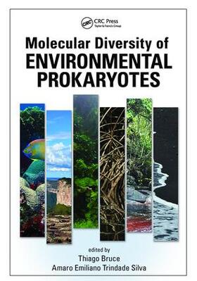 Rodrigues / Silva |  Molecular Diversity of Environmental Prokaryotes | Buch |  Sack Fachmedien