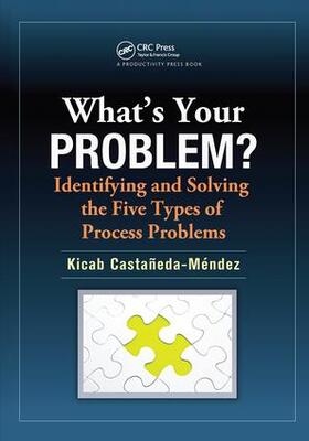Castaneda-Mendez |  What's Your Problem? Identifying and Solving the Five Types of Process Problems | Buch |  Sack Fachmedien