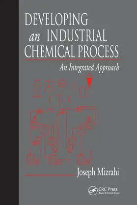 Mizrahi |  Developing An Industrial Chemical Process | Buch |  Sack Fachmedien