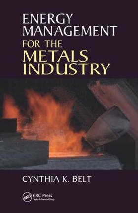 Belt |  Energy Management for the Metals Industry | Buch |  Sack Fachmedien