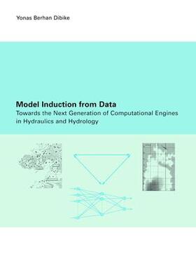 Dibike |  Model Induction from Data | Buch |  Sack Fachmedien