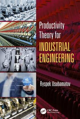 Usubamatov |  Productivity Theory for Industrial Engineering | Buch |  Sack Fachmedien