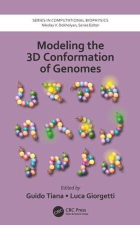Tiana / Giorgetti |  Modeling the 3D Conformation of Genomes | Buch |  Sack Fachmedien