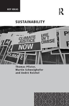 Pfister / Schweighofer / Reichel |  Sustainability | Buch |  Sack Fachmedien