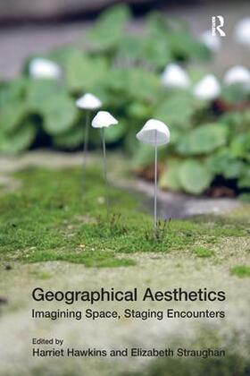 Straughan / Hawkins |  Geographical Aesthetics | Buch |  Sack Fachmedien