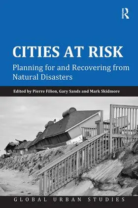 Filion / Sands |  Cities at Risk | Buch |  Sack Fachmedien