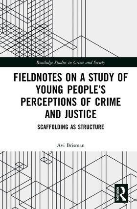 Brisman |  Fieldnotes on a Study of Young People's Perceptions of Crime and Justice | Buch |  Sack Fachmedien