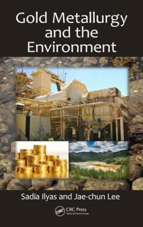 Ilyas / Lee |  Gold Metallurgy and the Environment | Buch |  Sack Fachmedien